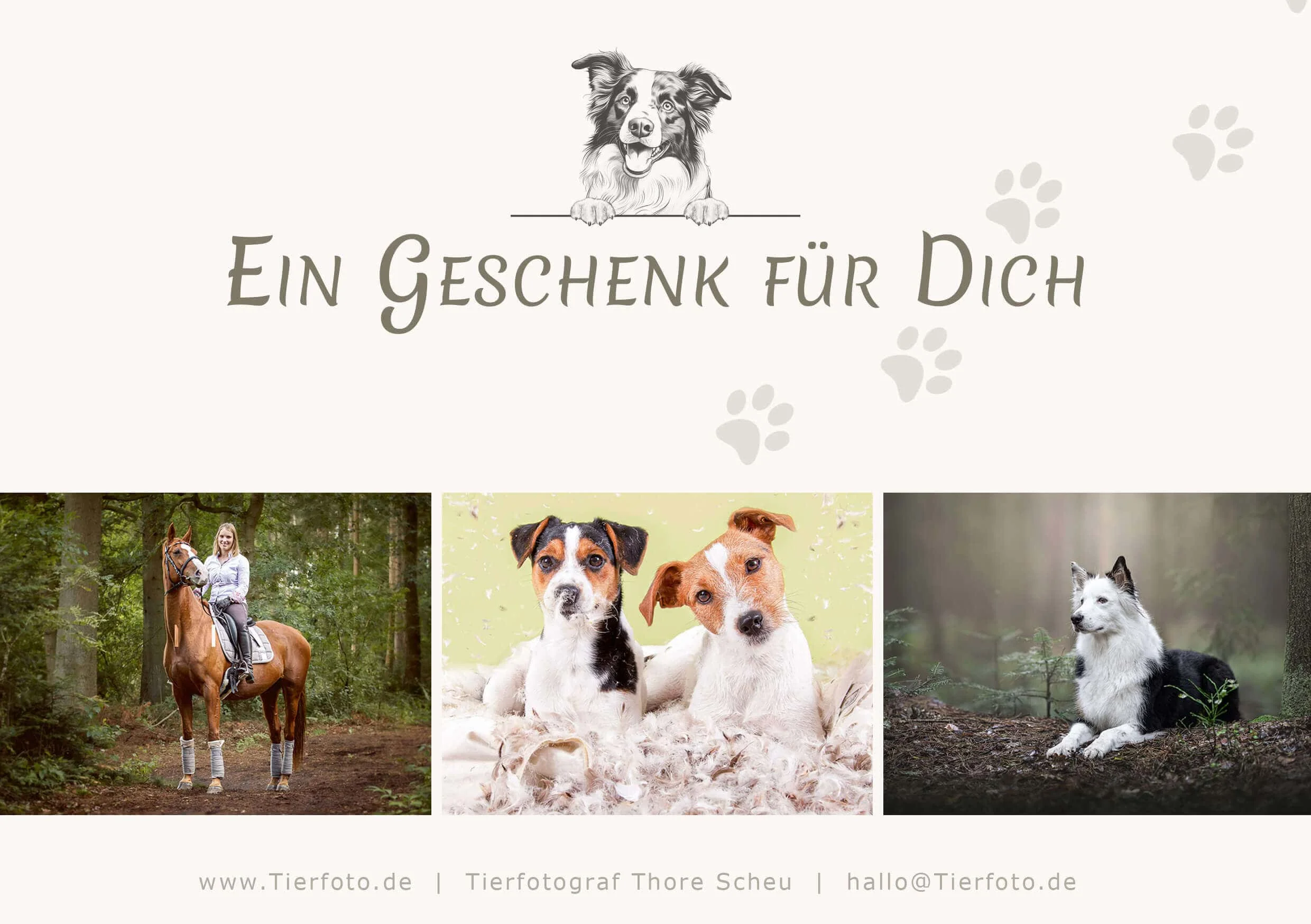 Gutschein vorne